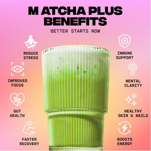 30-servings-of-mushroom-matcha-free-starter-kit-r5 1_e8b56491-7cb2-472e-ac2c-4f42e819f02f.jpg