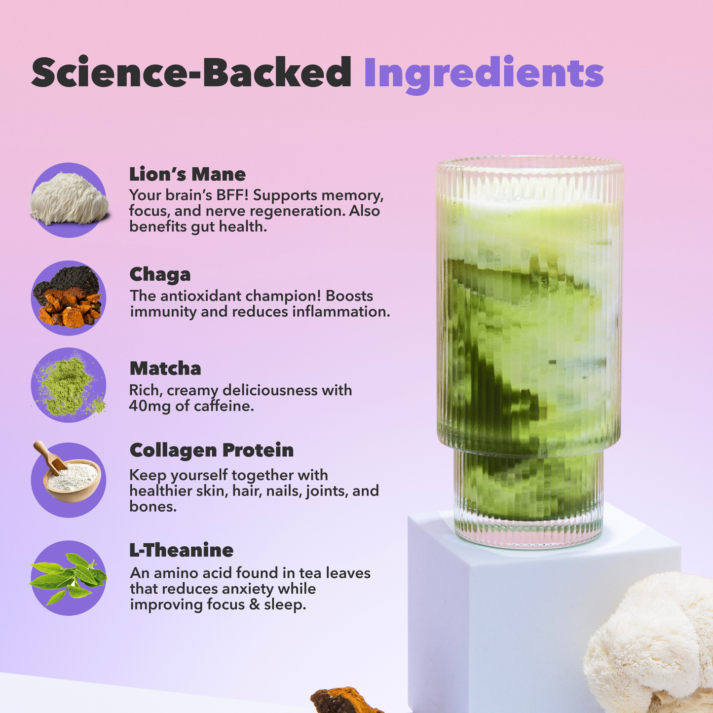 30-servings-mushroom-matcha-q1 custom_resized_386f63f8-0691-449c-9e51-462fed6c0033.png